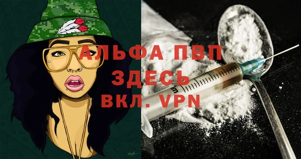 спиды Алзамай