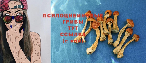 apvp Алексин